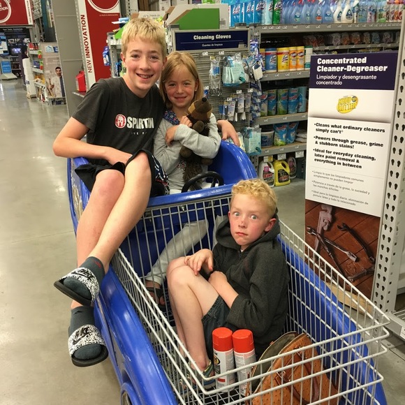 Meet your Posher, Debbie - Picture 1 of 1